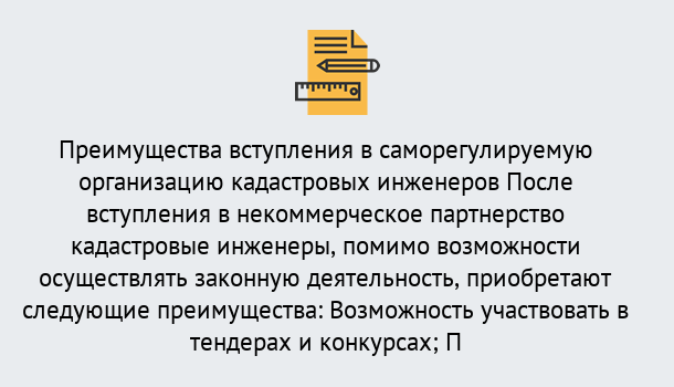 Почему нужно обратиться к нам? Абинск Что дает допуск СРО кадастровых инженеров?