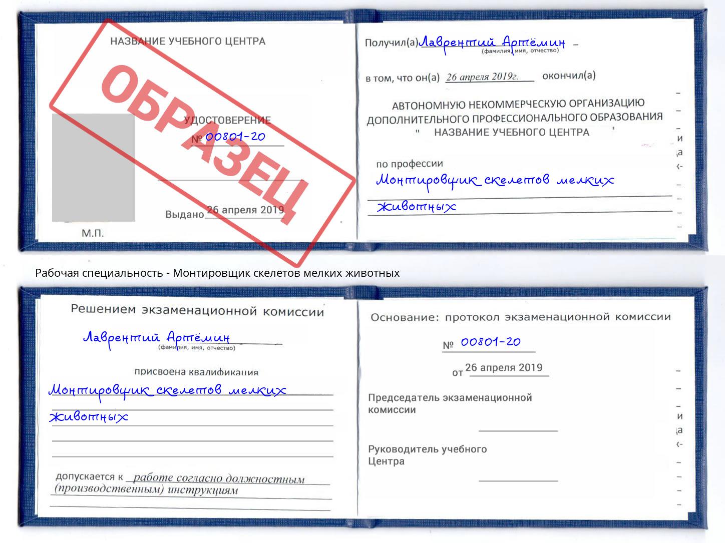 Монтировщик скелетов мелких животных Абинск