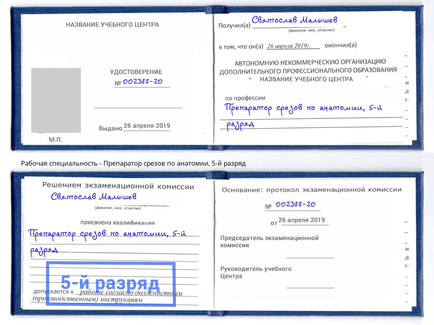 корочка 5-й разряд Препаратор срезов по анатомии Абинск