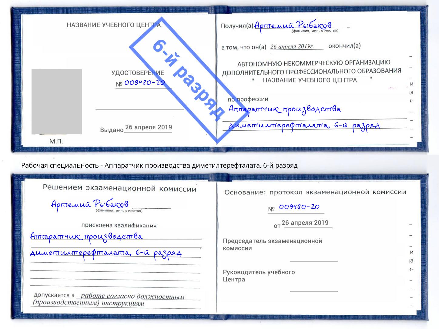 корочка 6-й разряд Аппаратчик производства диметилтерефталата Абинск