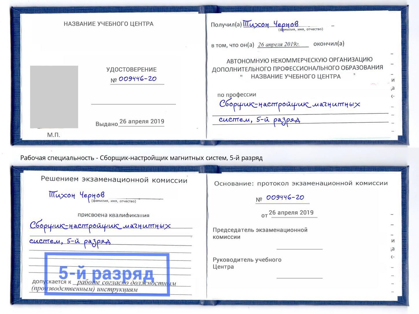 корочка 5-й разряд Сборщик-настройщик магнитных систем Абинск